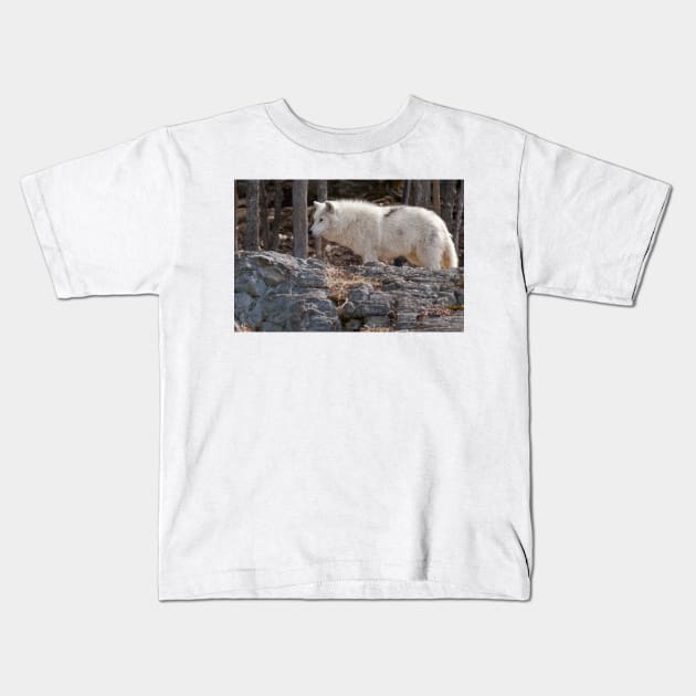 Arctic Wolf Kids T-Shirt by jaydee1400